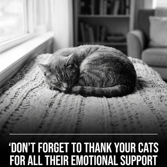  .....otrain   'recent posts' 