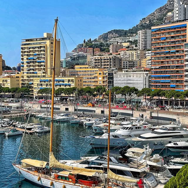  ......_viola   'recent posts' 