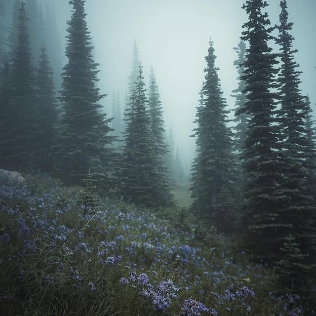  .........dventures   'recent posts' 