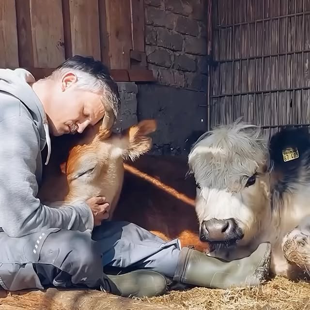  ...urre   'recent posts' 