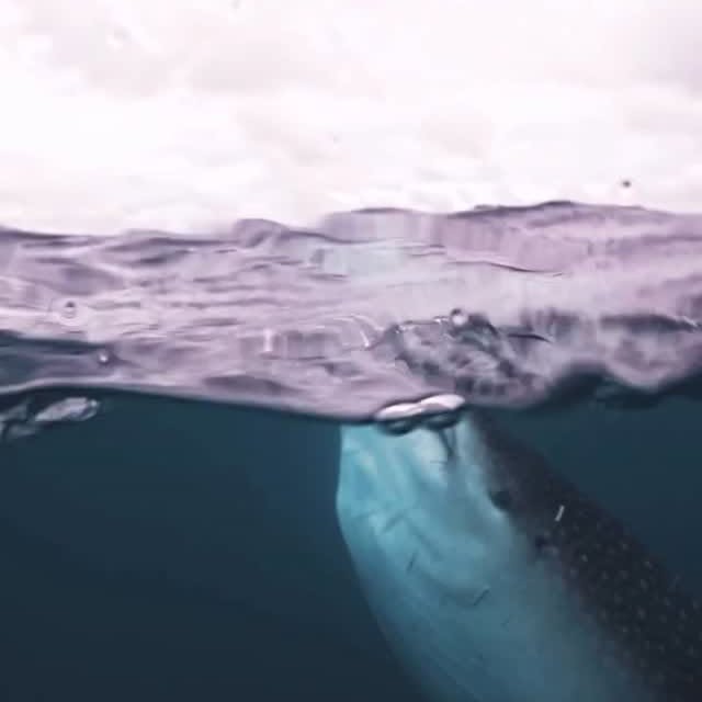  .......s.images   'recent posts' 