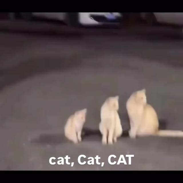  .....li9ht   'recent posts' 