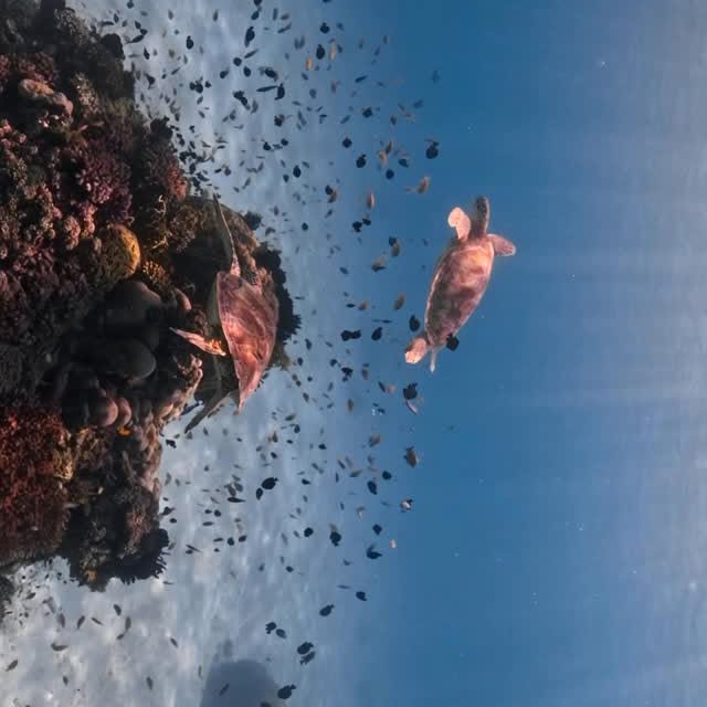  ......uecoast   'recent posts' 