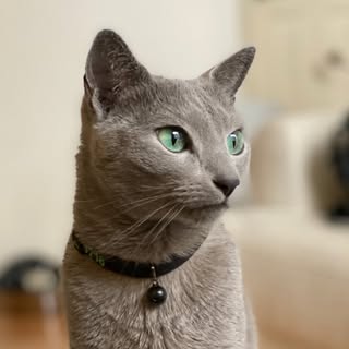 Hire ......n_boris influencer with 28.3k