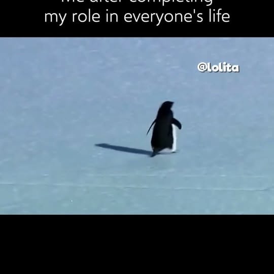  .........xofficial   'recent posts' 