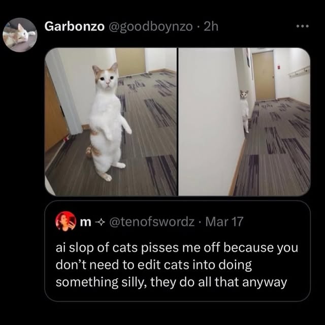  ....memes   'recent posts' 