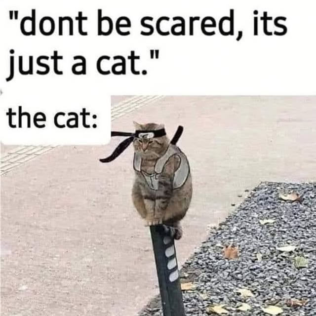  ......slovers   'recent posts' 