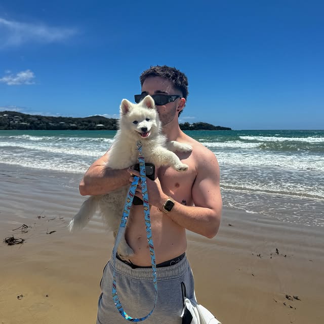  .....rmusic   'recent posts' 