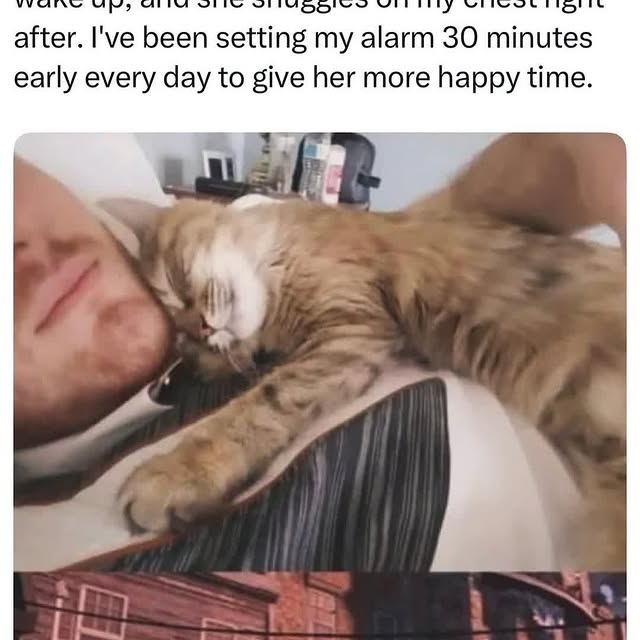  ............ttheinternet   'recent posts' 