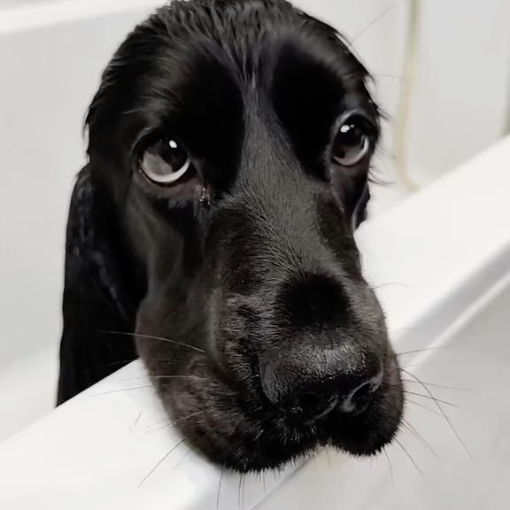  ......ofinsta   'recent posts' 