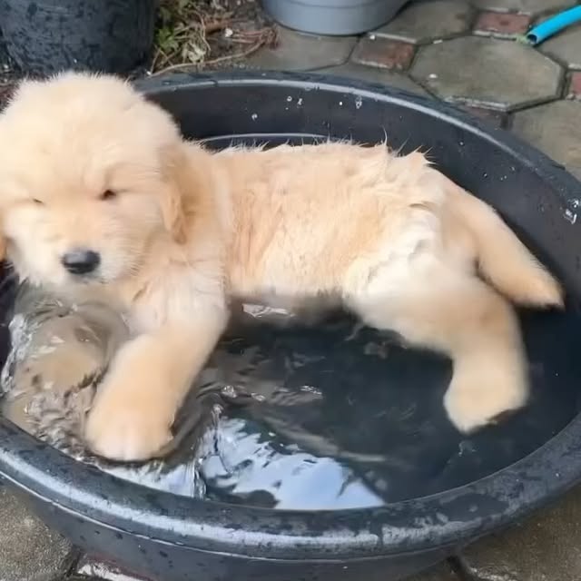  ........rcuteness   'recent posts' 