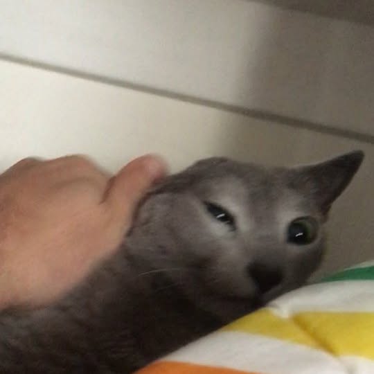  ......n_boris   'recent posts' 