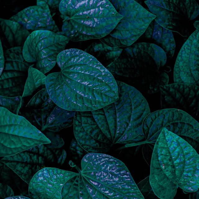  .....nnmon   'recent posts' 