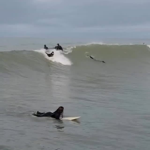  .....nique   'recent posts' 