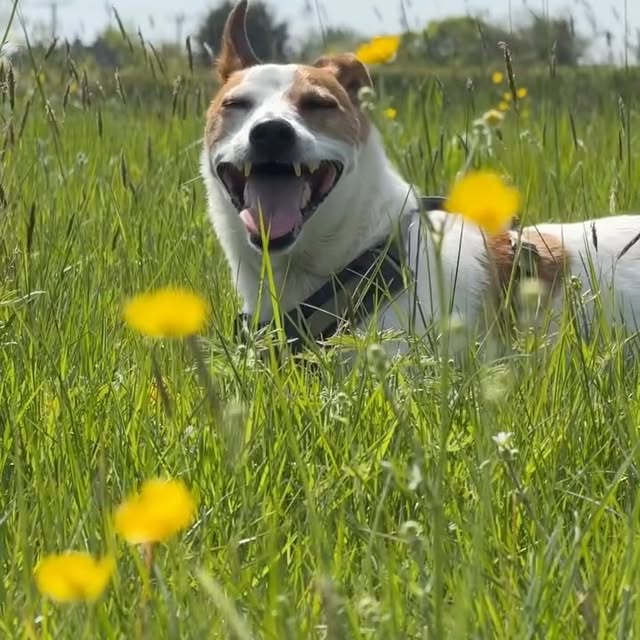  .......sell_luc   'recent posts' 