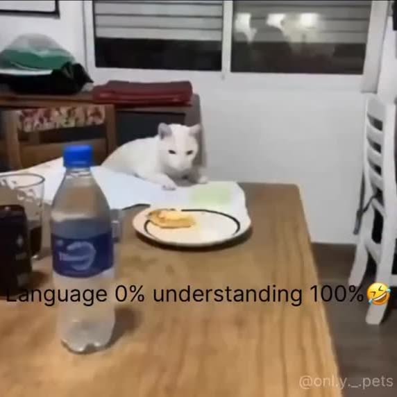  .......plorers   'recent posts' 