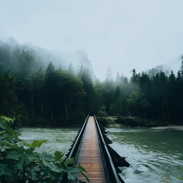  .......dbyfolk   'recent posts' 