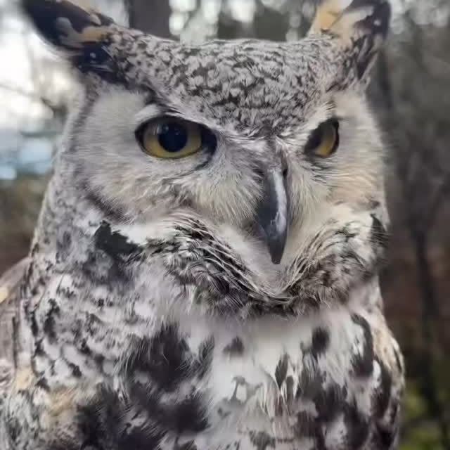  ........vacations   'recent posts' 