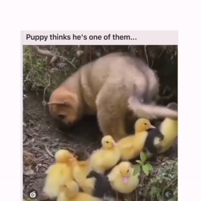  ....iming   'recent posts' 