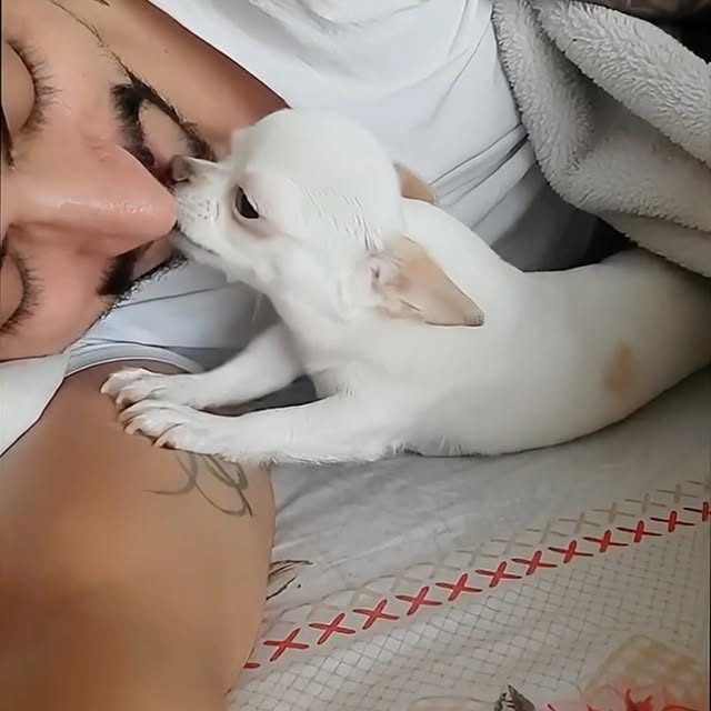  ........malsgram   'recent posts' 