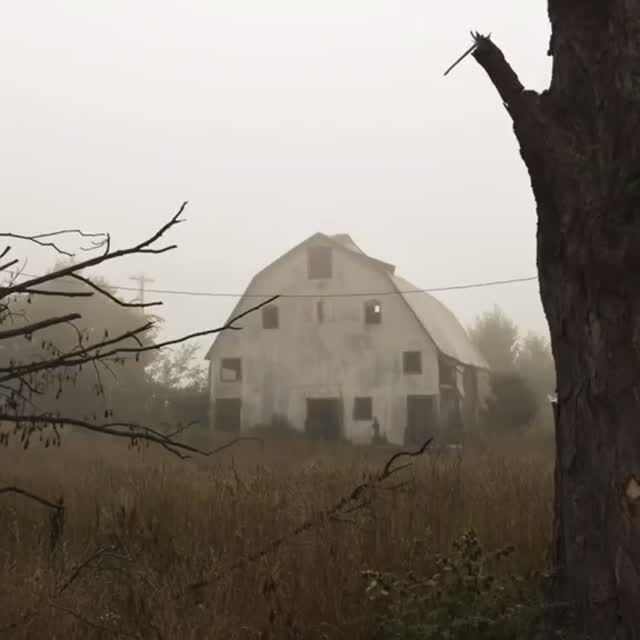  .....coreig   'recent posts' 