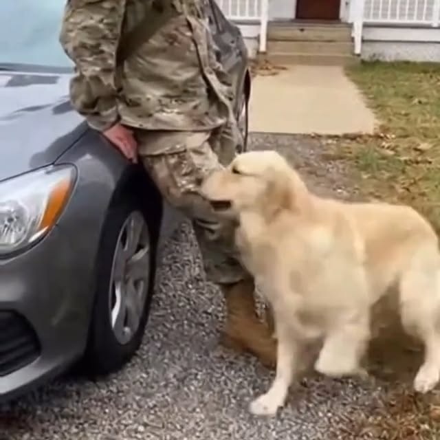  .....sland   'recent posts' 