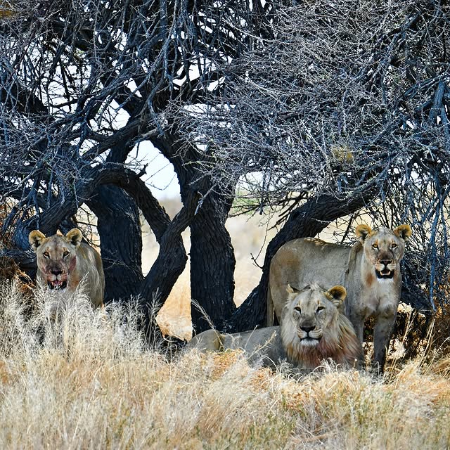  ........reisen   'recent posts' 