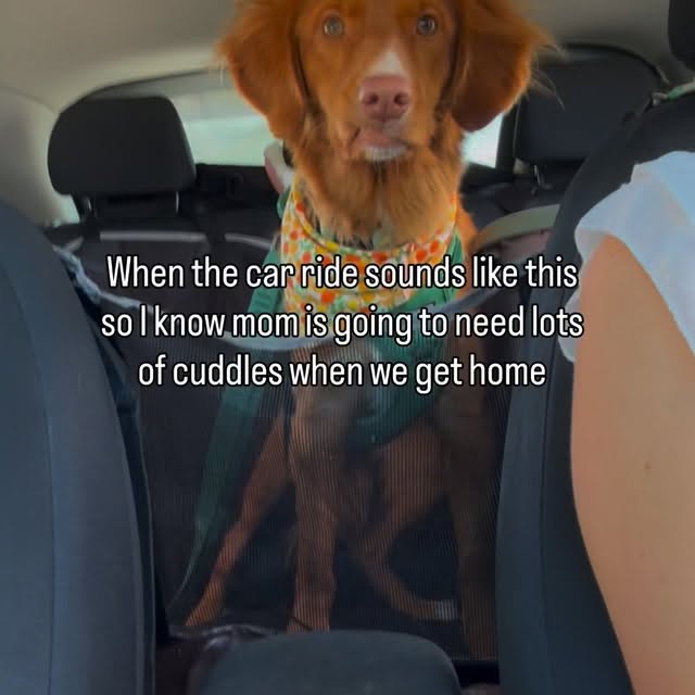  ......atoller   'recent posts' 