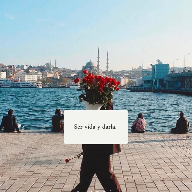  ......oencafe   'recent posts' 