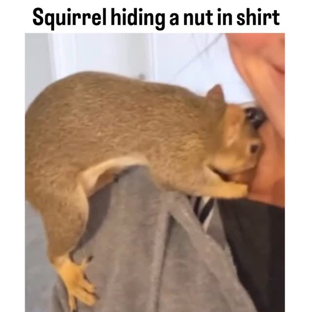  ........rldsnews   'recent posts' 