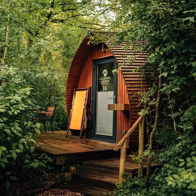  .......sespics   'recent posts' 