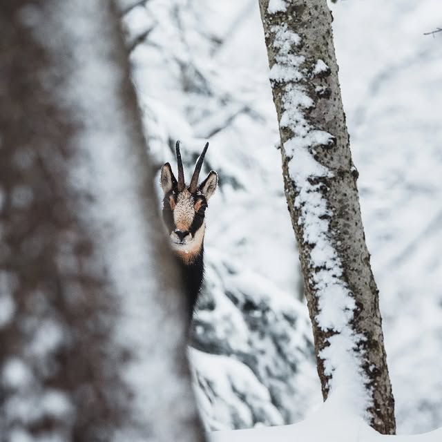  .......avelbook   'recent posts' 