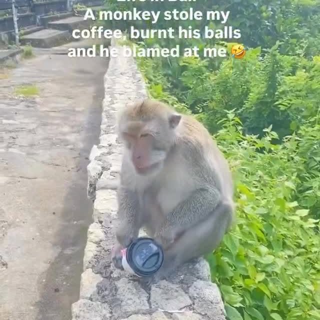  .......posting   'recent posts' 