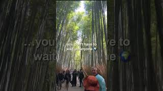  .......lyNellzy  'recent videos' 