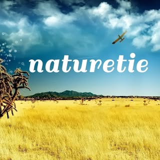 Hire ....retie influencer with 617.6k