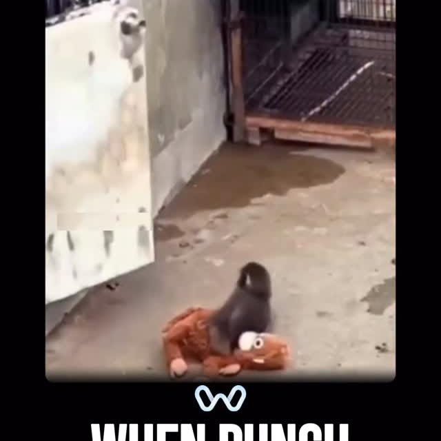  ........alth_club   'recent posts' 