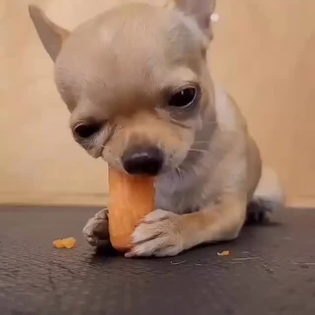  .......uapuppy   'recent posts' 