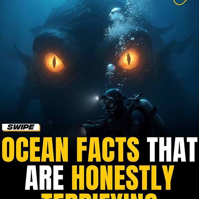  .......onfacts   'recent posts' 