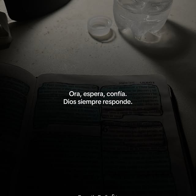  ......oencafe   'recent posts' 