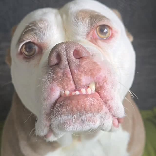  .......eyebrows   'recent posts' 