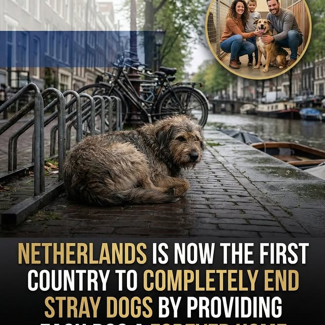  .....otrain   'recent posts' 