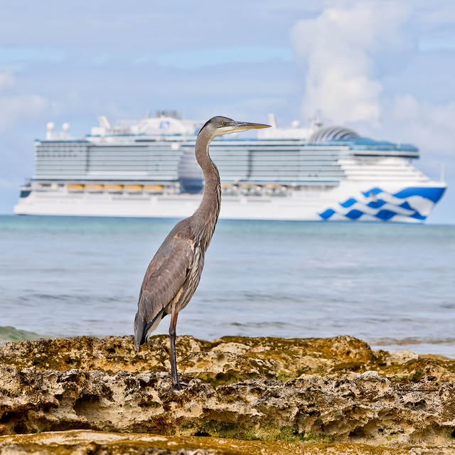  .....yland   'recent posts' 