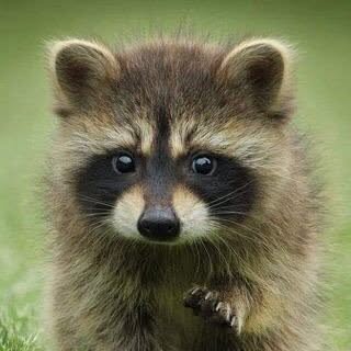 Hire ....onnei influencer with 106k