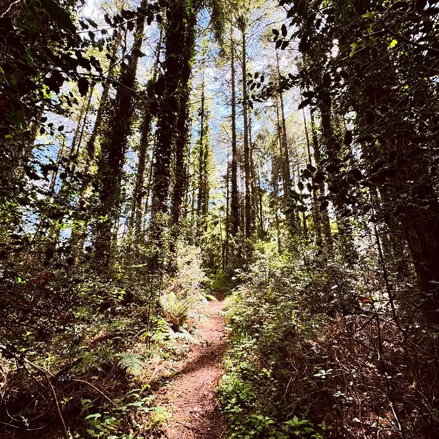  ......merton   'recent posts' 