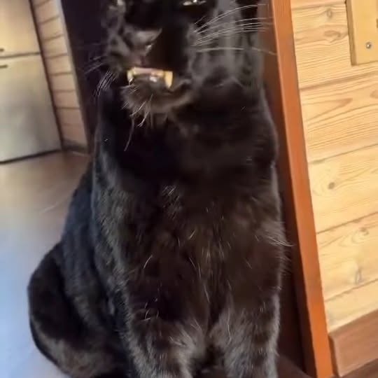  ......entpix   'recent posts' 