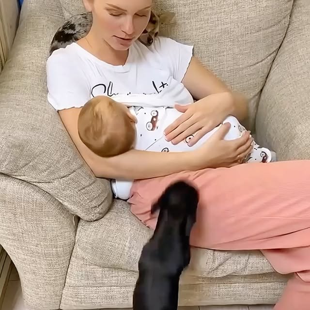  ........malsgram   'recent posts' 