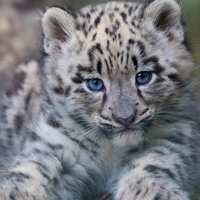  ......fehood   'recent posts' 