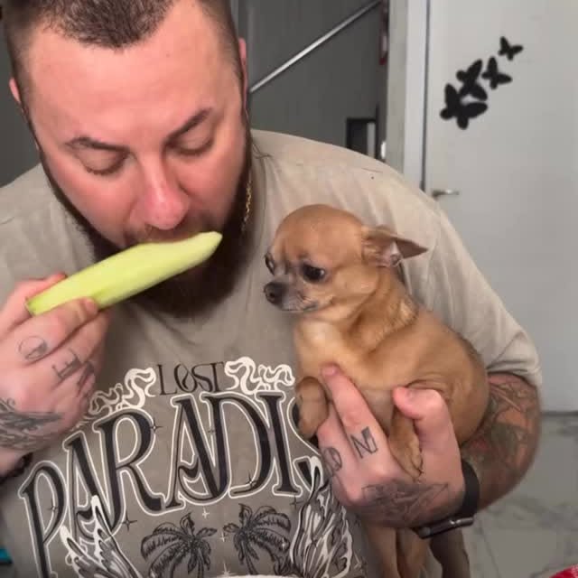  .......uapuppy   'recent posts' 