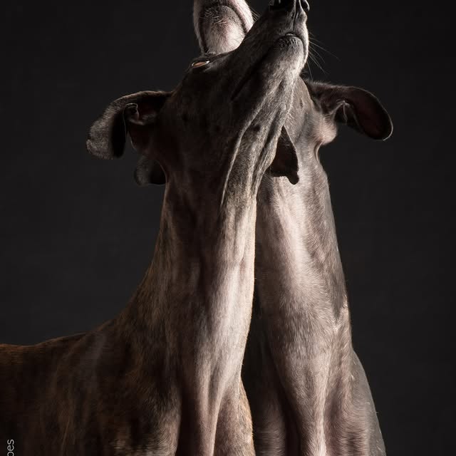  ..........hotography   'recent posts' 