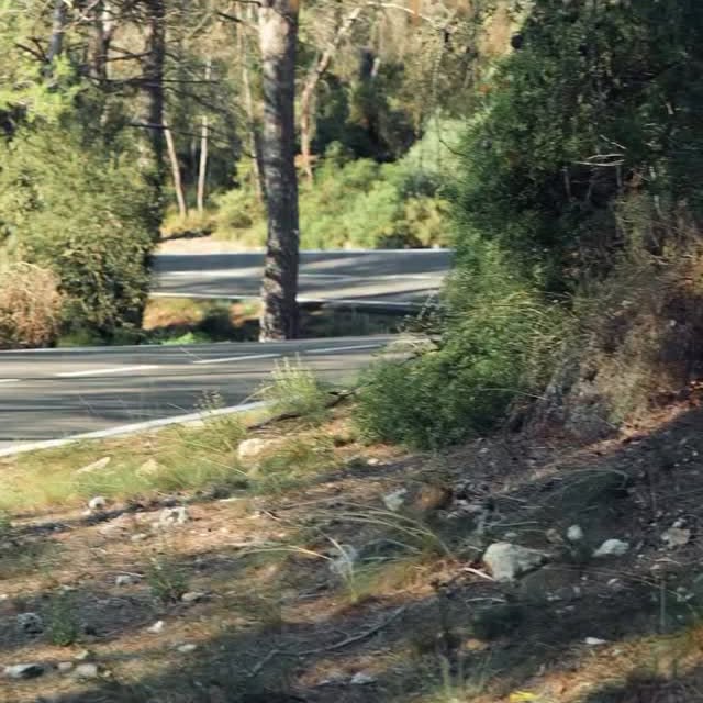  .....stube   'recent posts' 